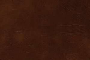 Genova Chocolate swatch