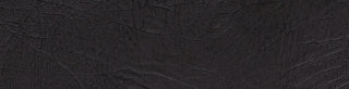 Genova Black swatch