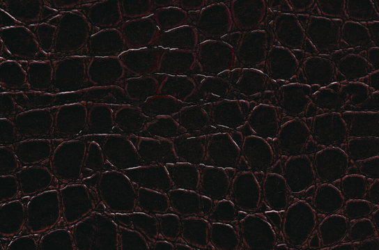 LTU48355 - Modena Brown