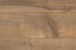 Century Oak swatch