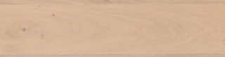 Forestvale Oak swatch