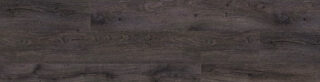 Empress Oak