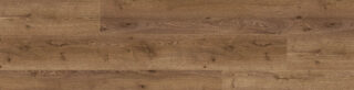 Koningin Oak